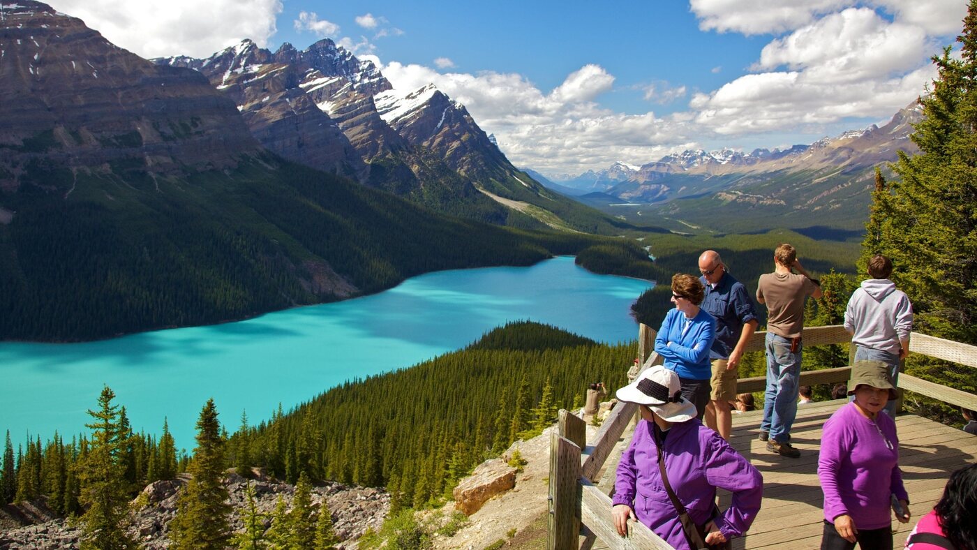 Travellers overlooking turquoise Peyto Lake