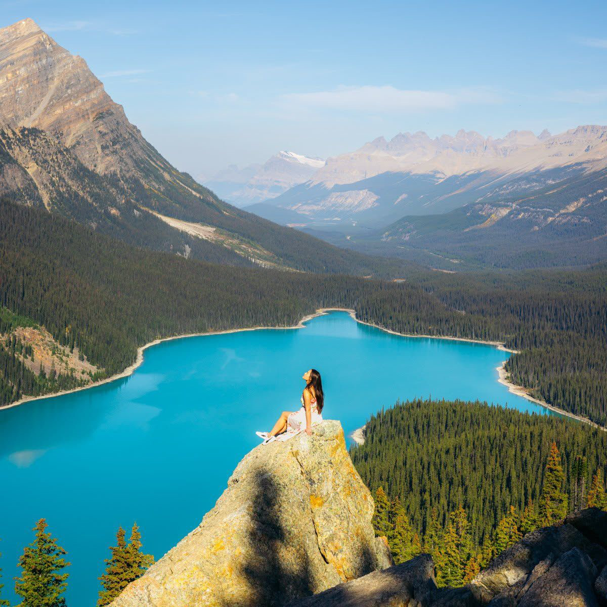 Peyto Lake viewed from above